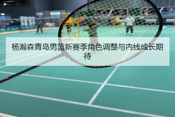 杨瀚森青岛男篮新赛季角色调整与内线成长期待