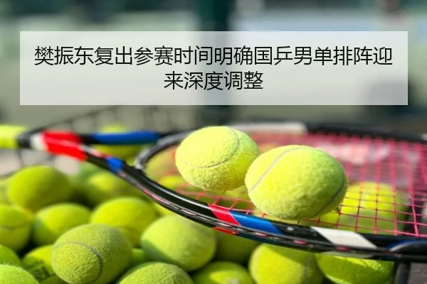 樊振东复出参赛时间明确国乒男单排阵迎来深度调整